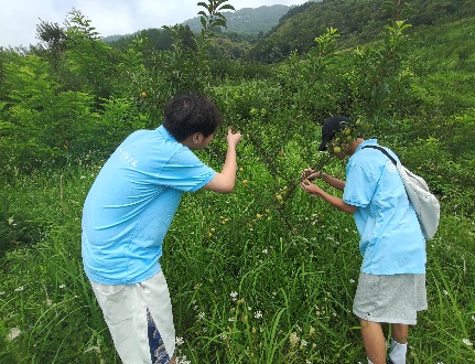 image8.jpeg